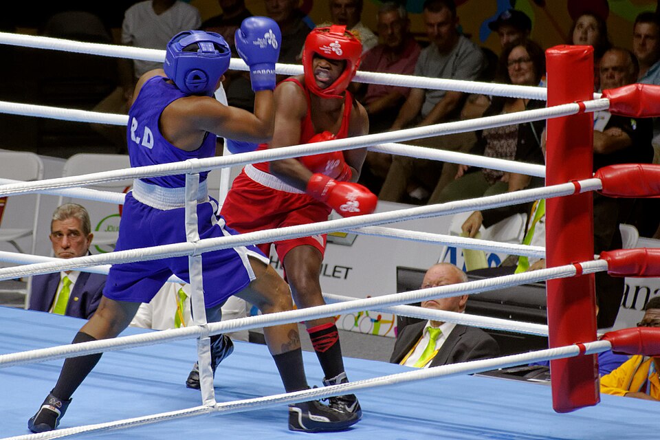 Pan American Games champion