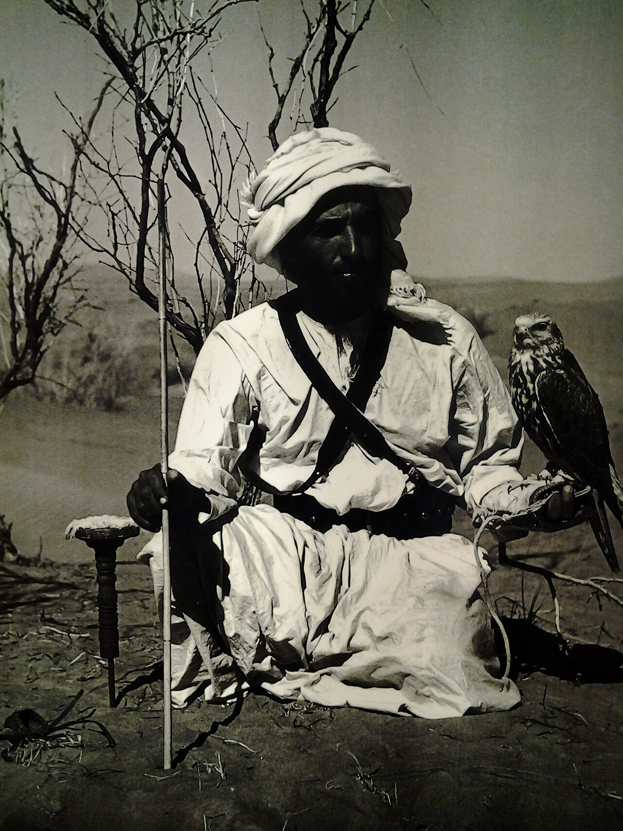 A photograph of Sheikh Zayed displayed at Al Jahili Fort