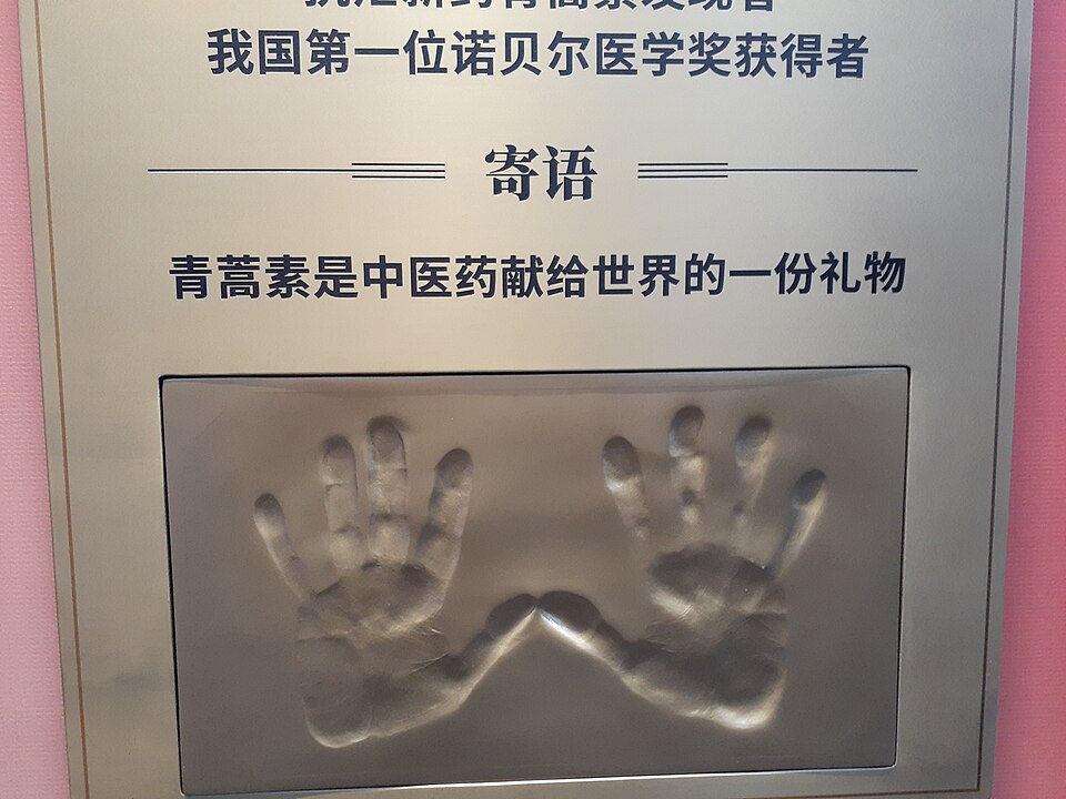 Joins Chinese medicine academy