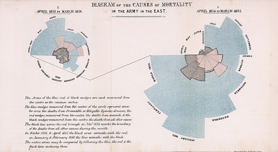 Popularises the polar-area diagram