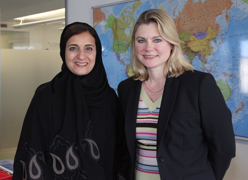 International Cooperation and Development