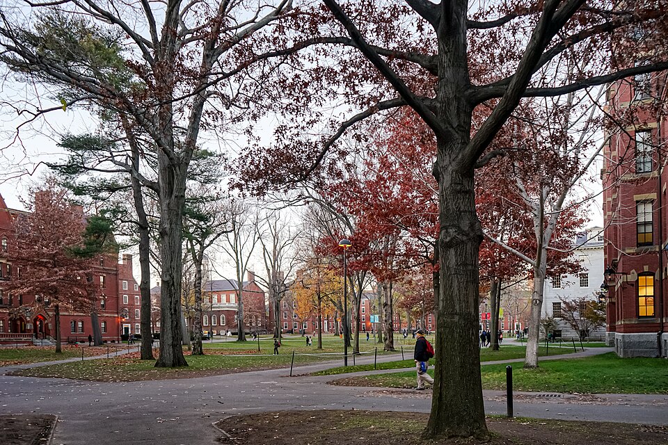 Begins at Harvard