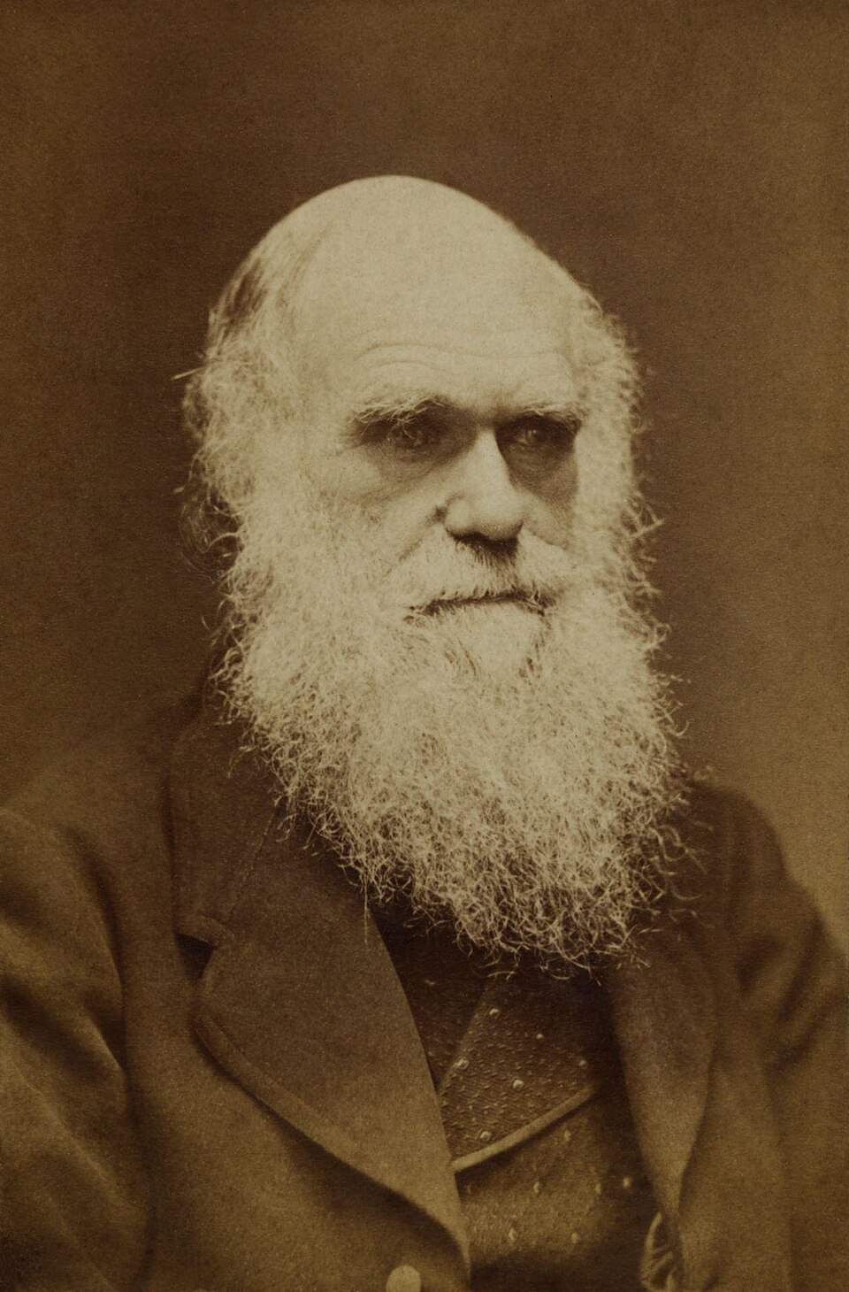 Born in Shrewsbury