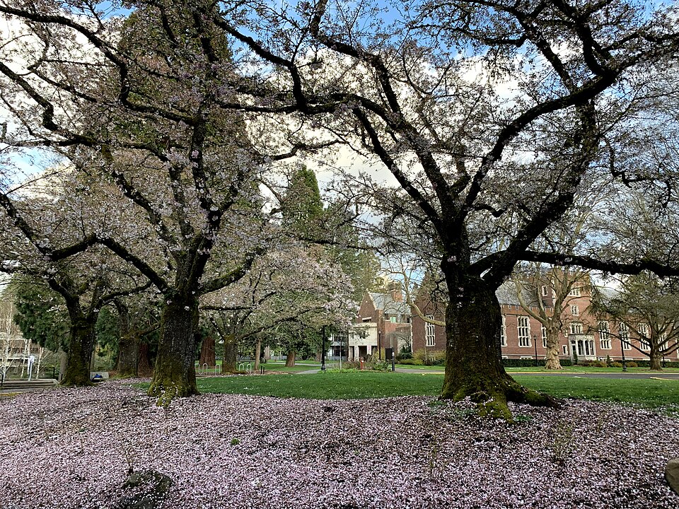 Reed College and calligraphy