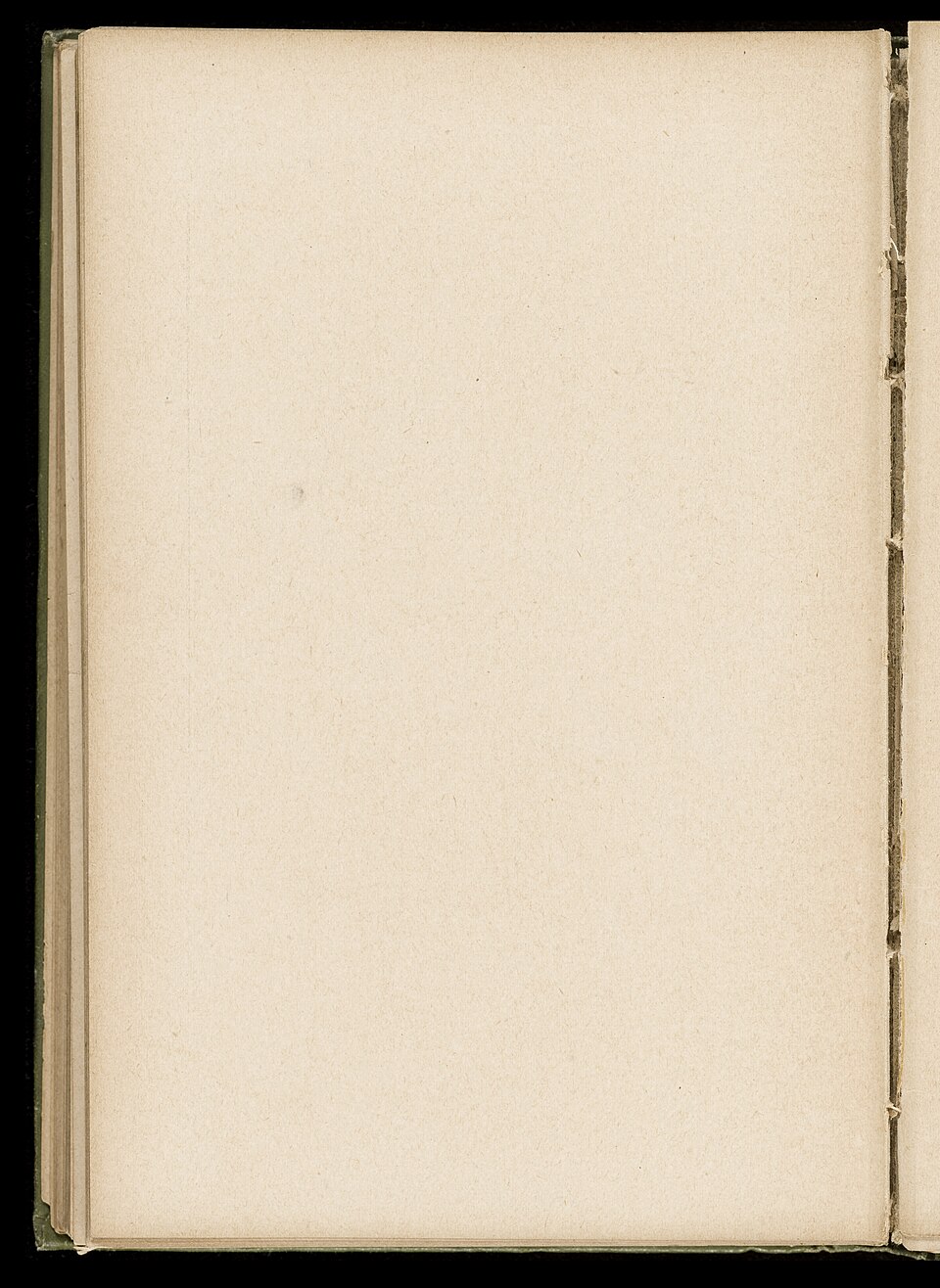 Notes on Nursing published