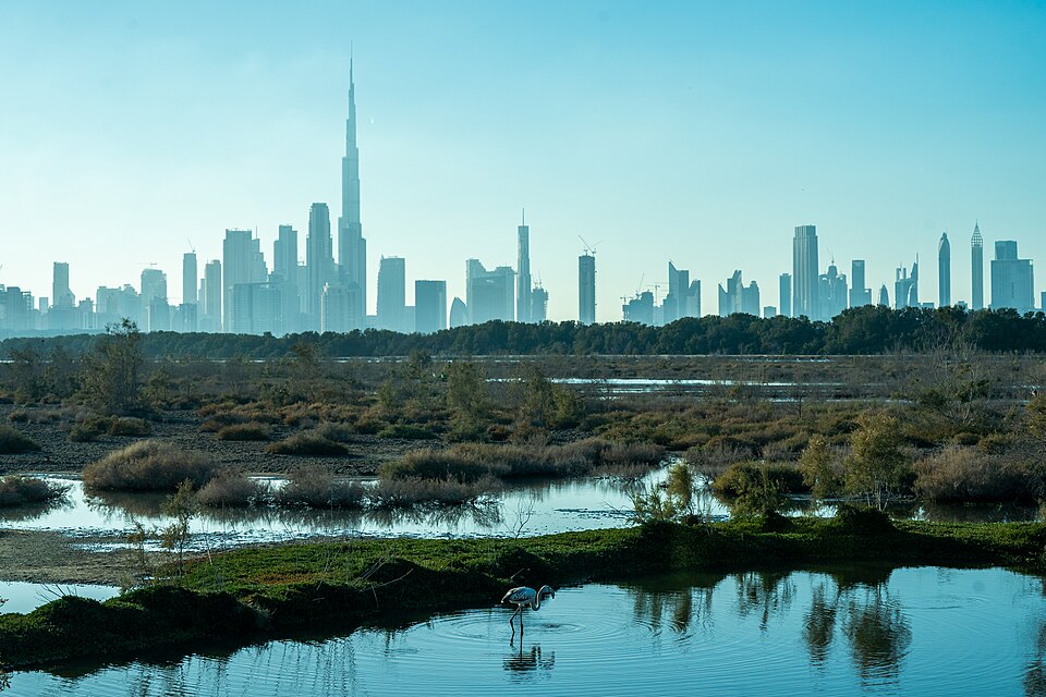 DAMAC Hills community develops