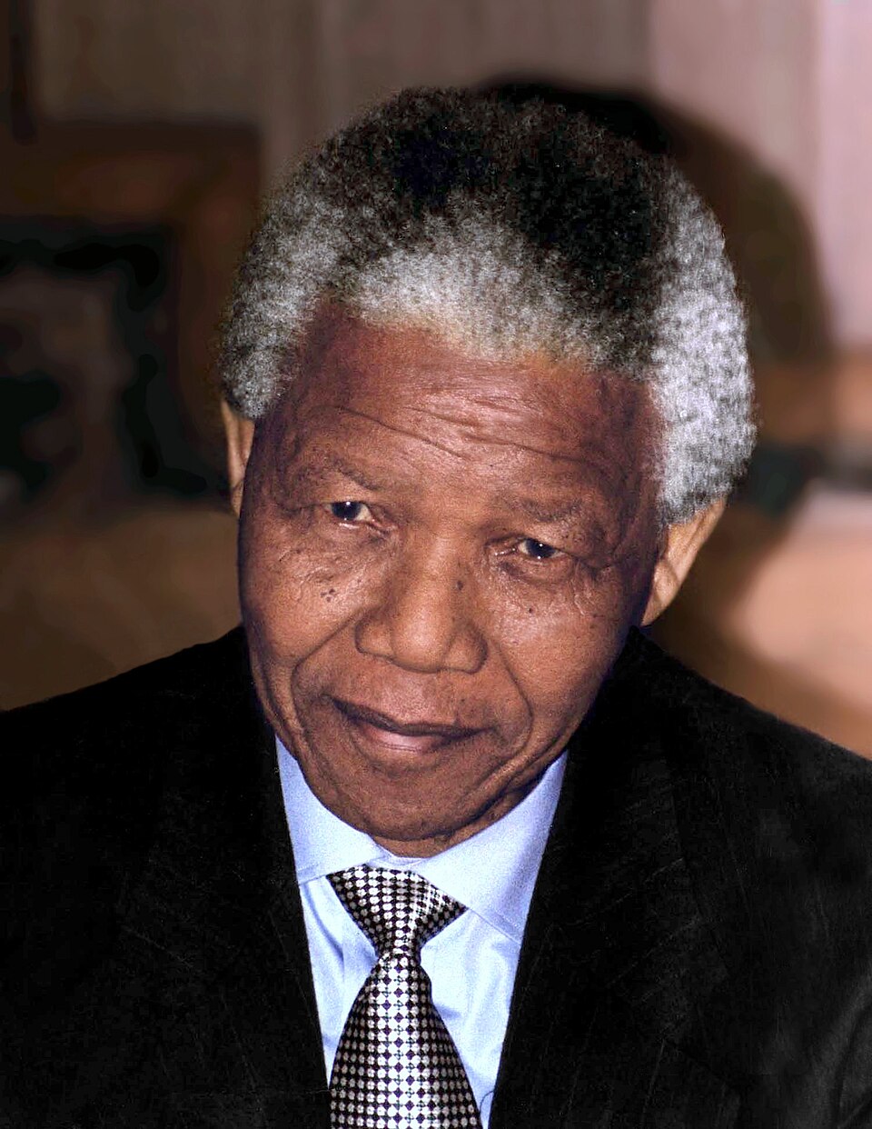 President of South Africa