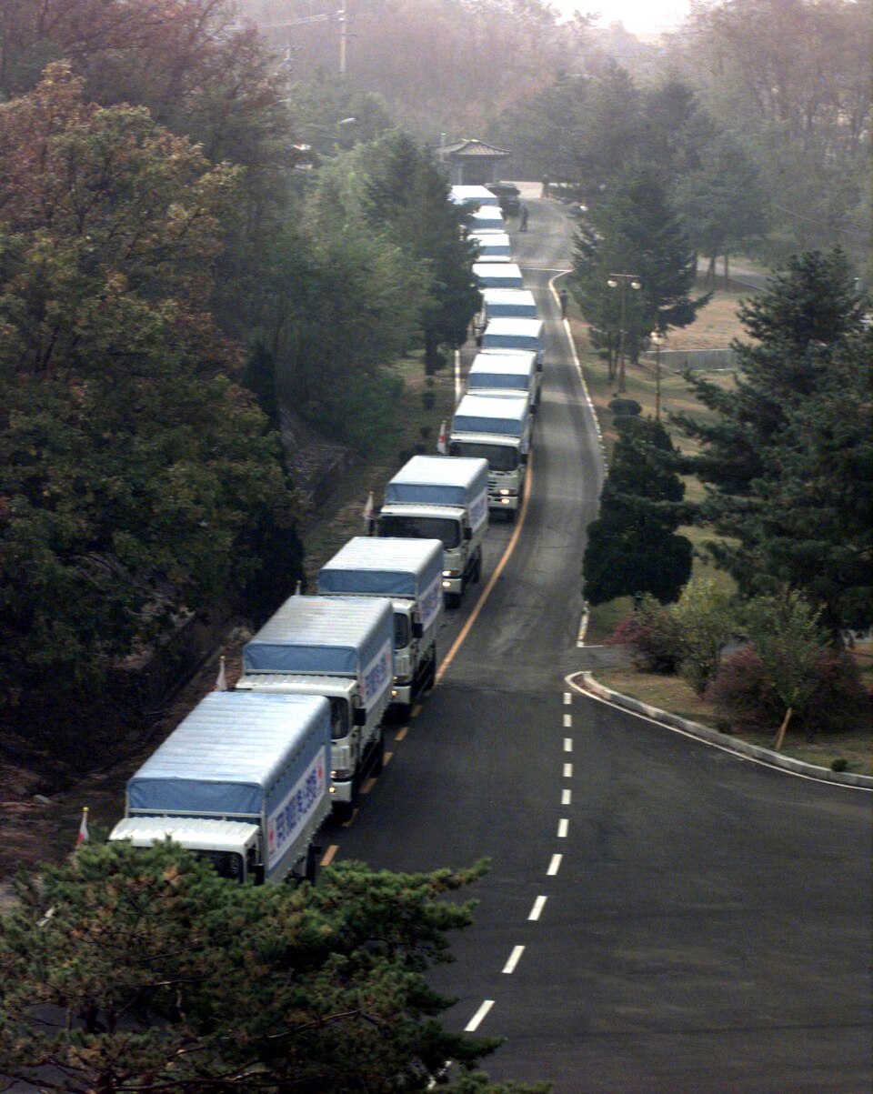 Cattle cross into North Korea