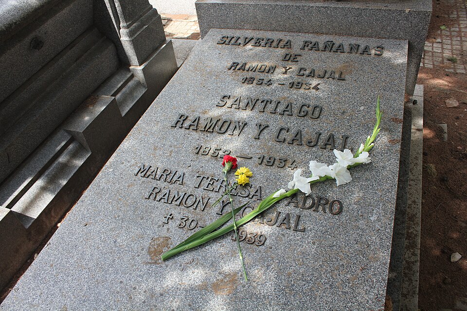Dies in Madrid