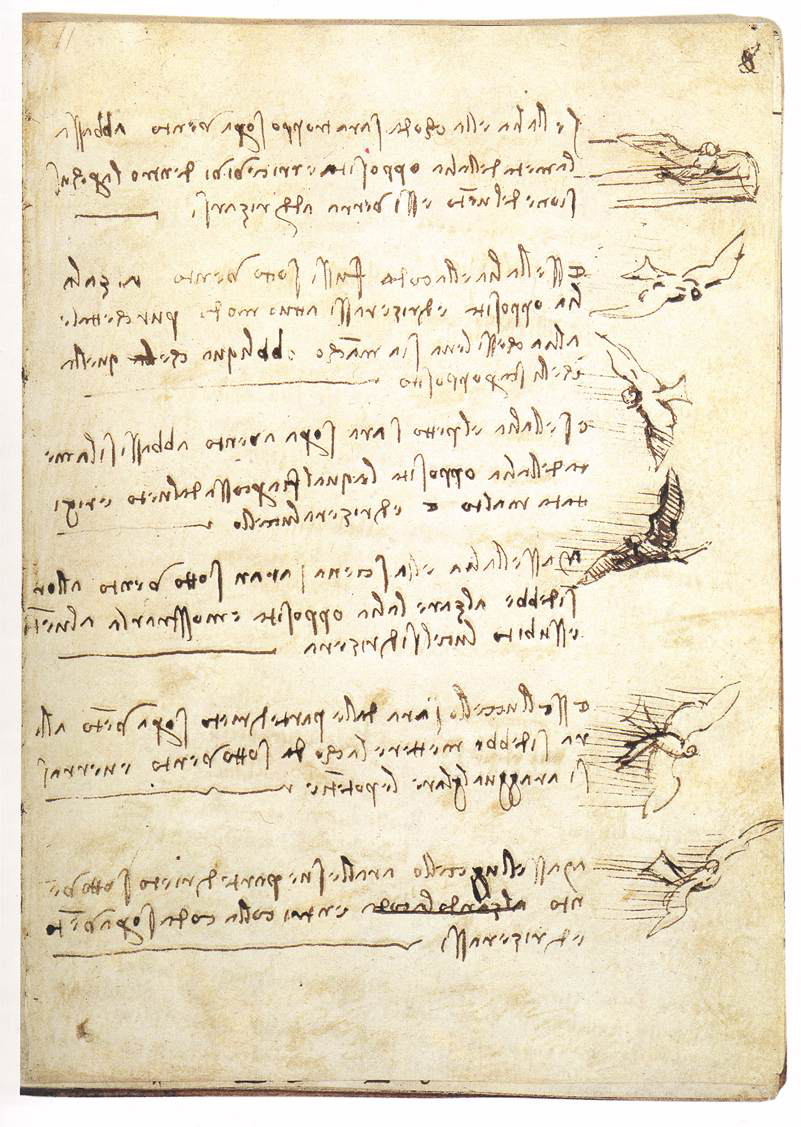 Studies the flight of birds
