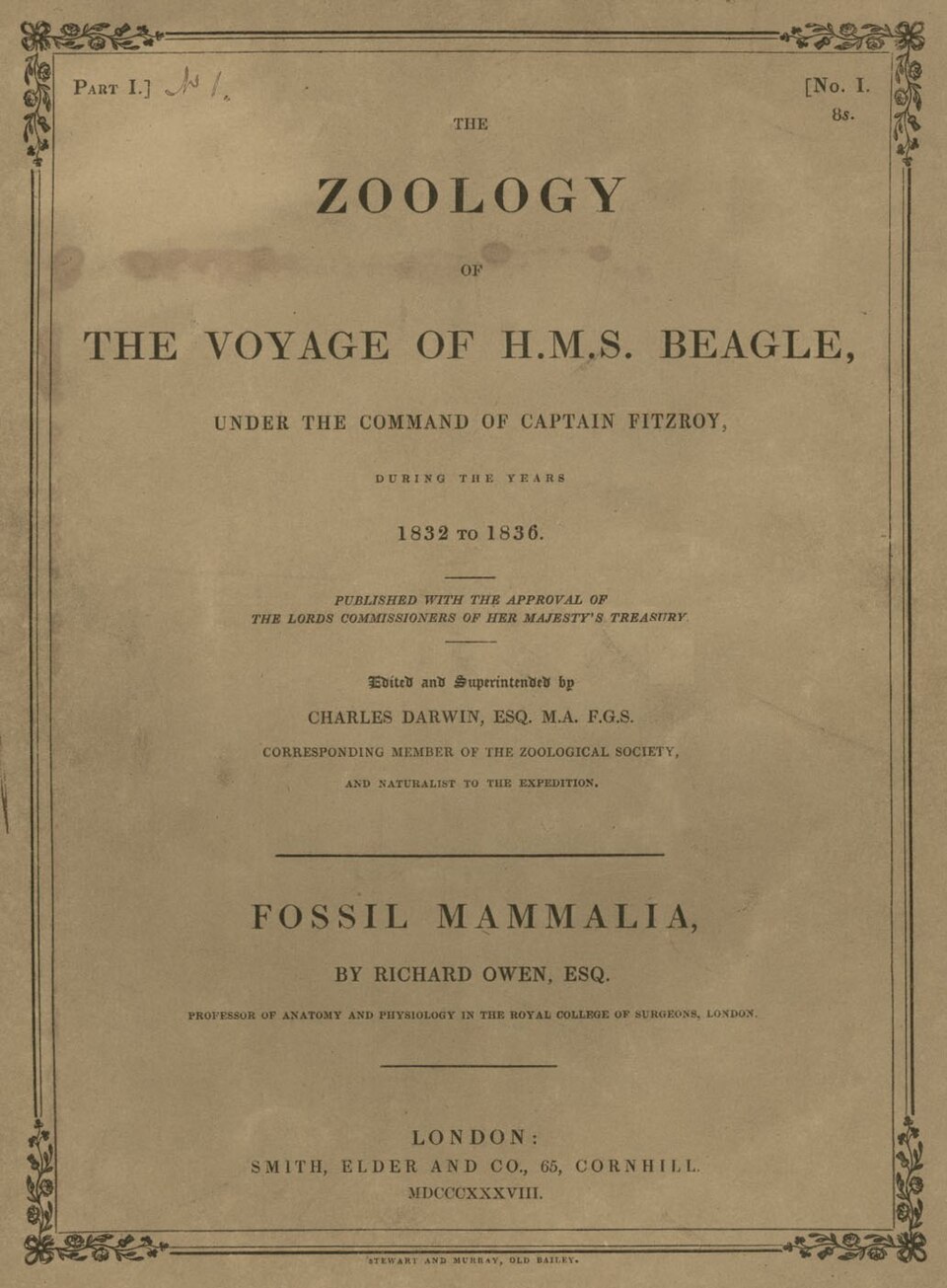 Studies tropical nature