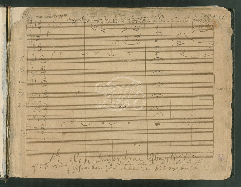 Fifth and Sixth symphonies premiere