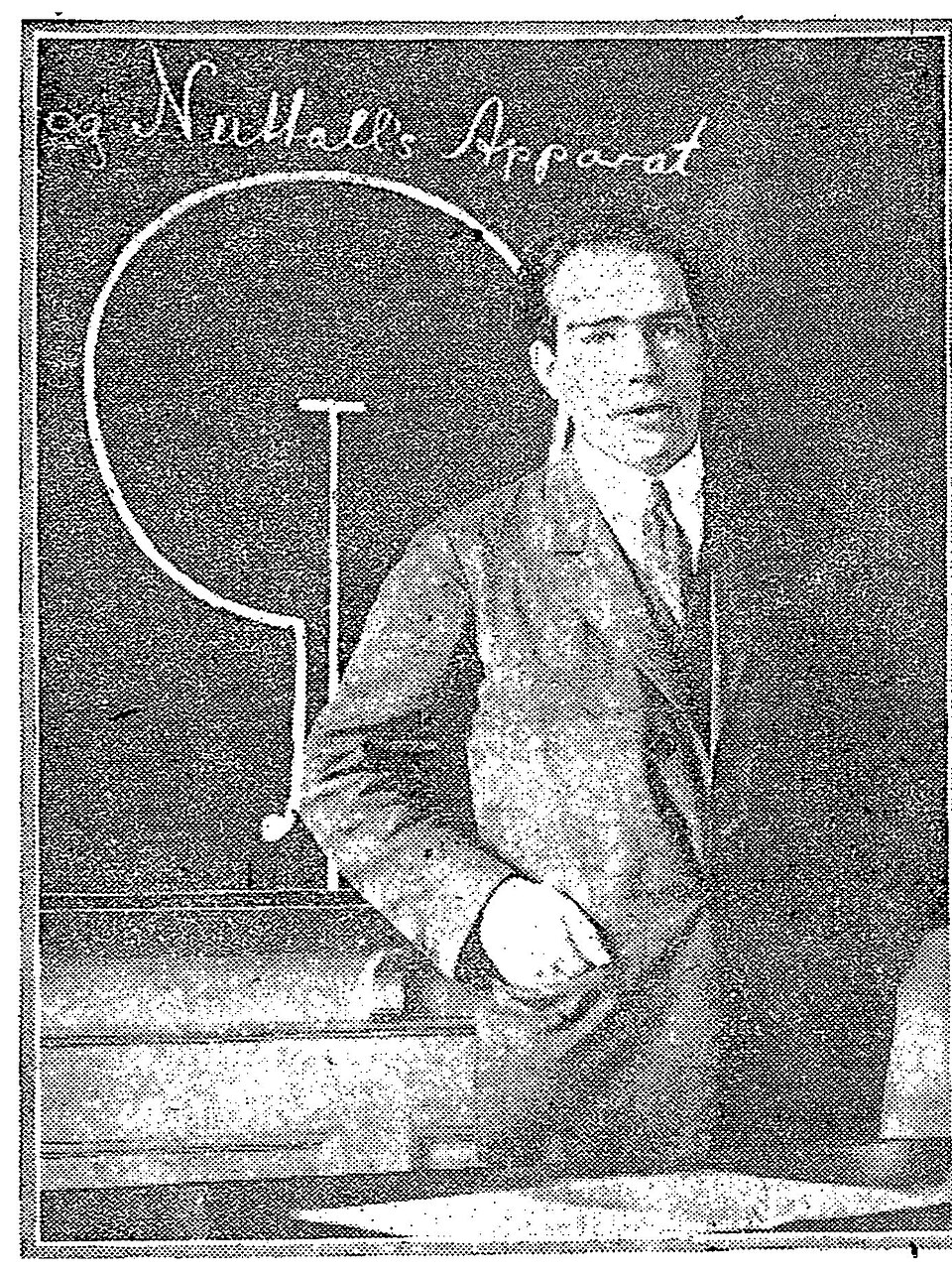 Professor of theoretical physics