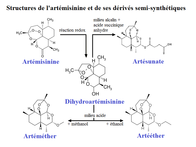 Dihydroartemisinin developed